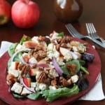 A Fall Inspired Apple Chicken Salad by Amanda of The Taste Tester