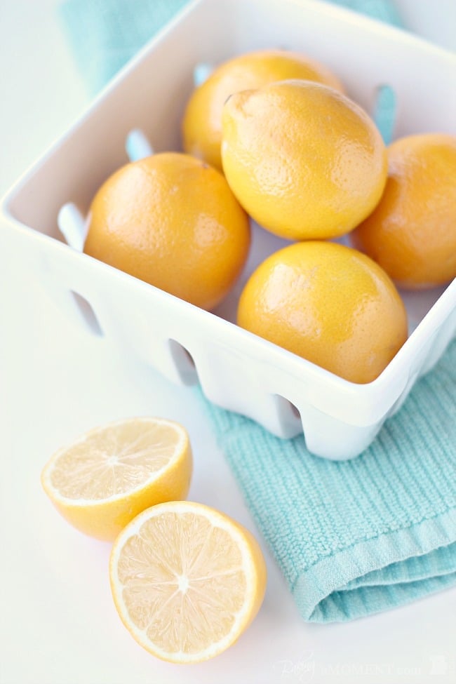 Meyer Lemons | Baking a Moment