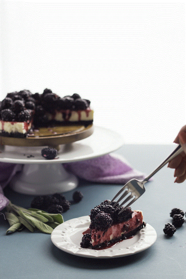 Blackberry Goat Cheese Cheesecake | Baking a Moment