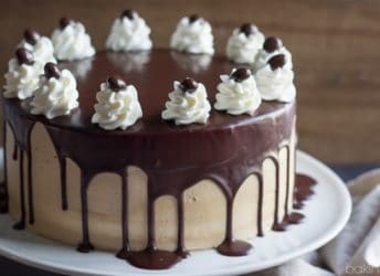 Alternating layers of Angel Food Cake and Devils Food Cake are filled with Salted Caramel Mousse, frosted with Espresso Swiss Meringue Buttercream, and glazed with a Decadent Dark Chocolate Ganache.