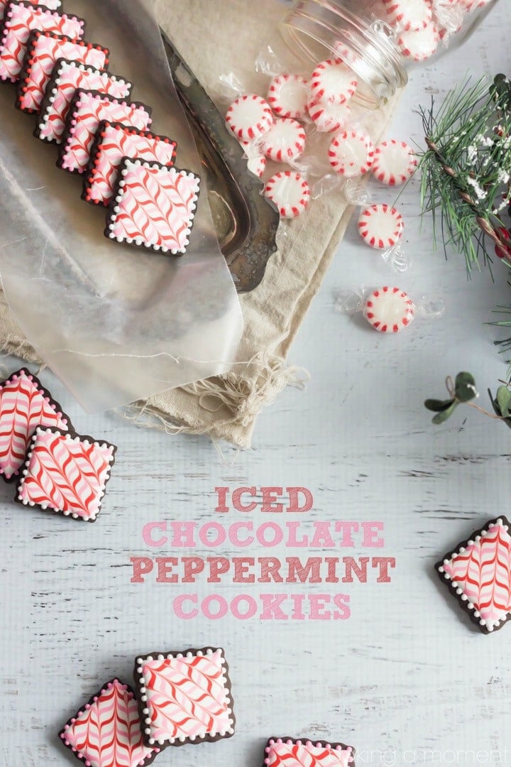 Iced Chocolate Peppermint Cookies- so pretty, and fun to make! Check out the video tutorial for an easy how-to ;)