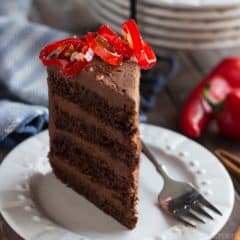 We loved this moist and rich Mexican chocolate layer cake- the frosting is spiked with cinnamon and spice!