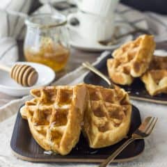Greek Yogurt Freezer Waffles- whip up a big batch in less than an hour and have them all week long. Miles better than anything store bought!