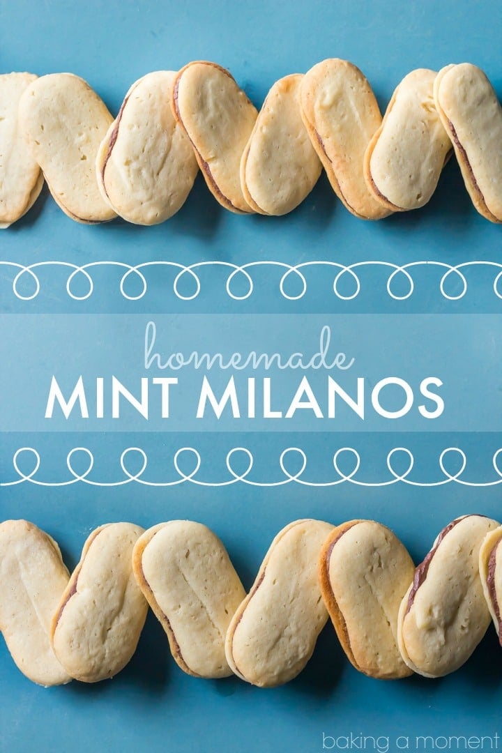 Homemade Mint Milanos- these were just like the store-bought kind only WAY BETTER!!!