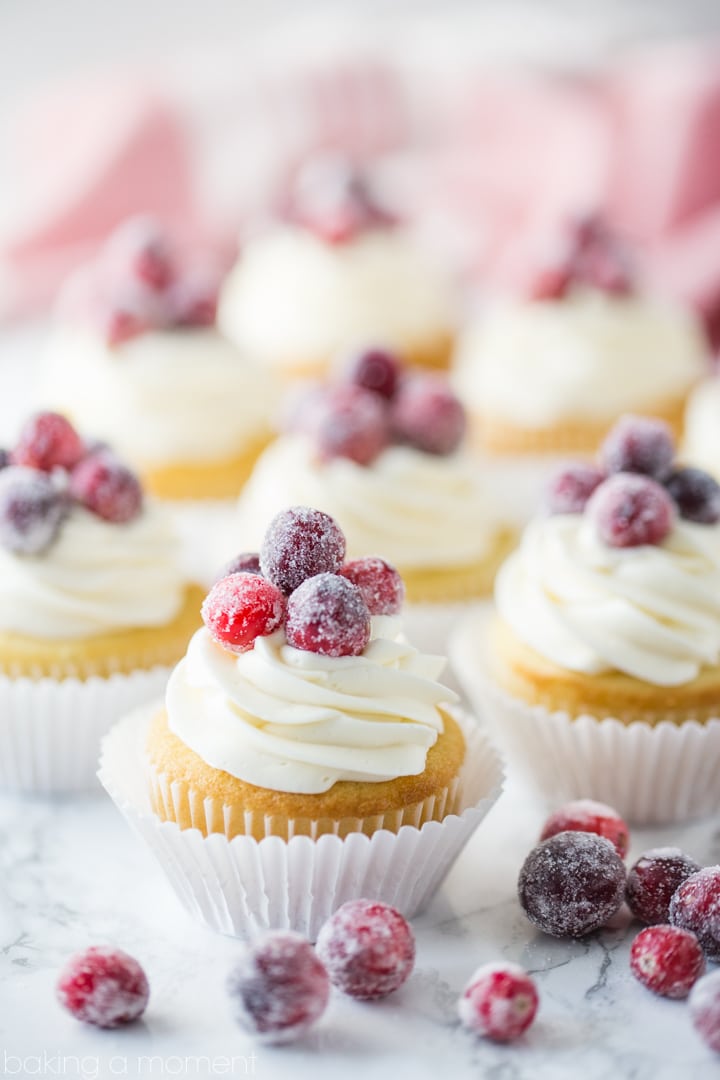 Cranberry White Chocolate Cupcakes- perfect fluffy, soft texture on the cupcake, and I loved the contrast of tart berries with that rich and creamy white chocolate buttercream! 