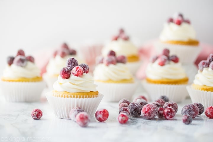 Cranberry White Chocolate Cupcakes- perfect fluffy, soft texture on the cupcake, and I loved the contrast of tart berries with that rich and creamy white chocolate buttercream! 