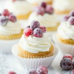 Cranberry White Chocolate Cupcakes- perfect fluffy, soft texture on the cupcake, and I loved the contrast of tart berries with that rich and creamy white chocolate buttercream!