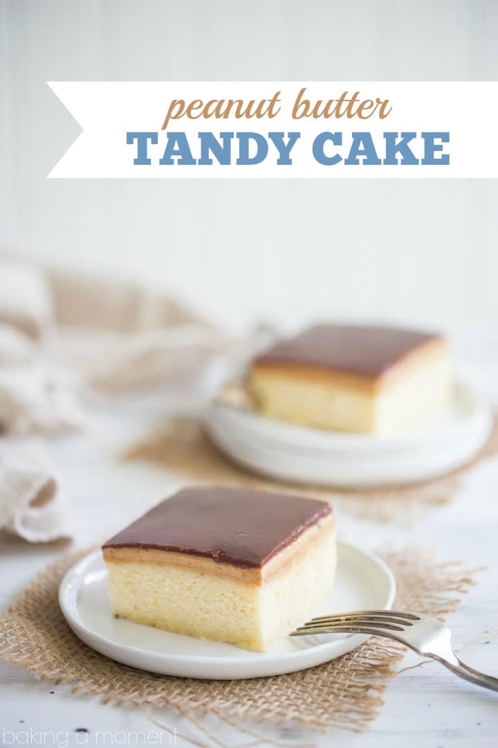 Peanut Butter Tandy Cake (aka Kandy Kake): this took me straight back to my childhood! Even better than the Tastykake original, with soft, butter-y sheet cake, topped with peanut butter and milk chocolate ganache. food desserts cake