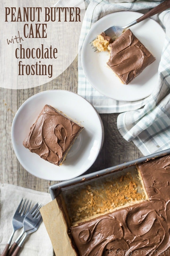 My family LOVED this peanut butter cake! The fudge-y milk chocolate frosting was so good too. All so simple to make, the recipe is practically foolproof. food desserts cake
