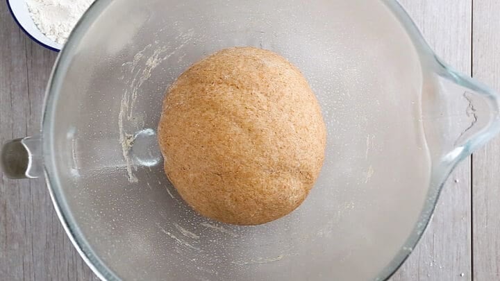 Whole wheat bread dough kneaded smooth and ready for its first rise.