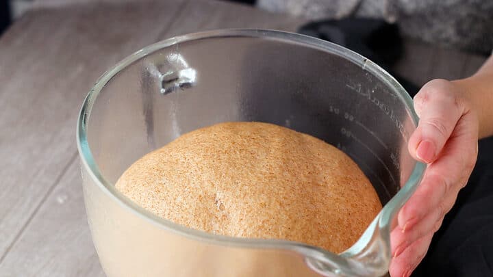 Whole wheat bread dough after its first rise.