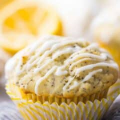 Best Lemon Poppy Seed Muffins Recipe