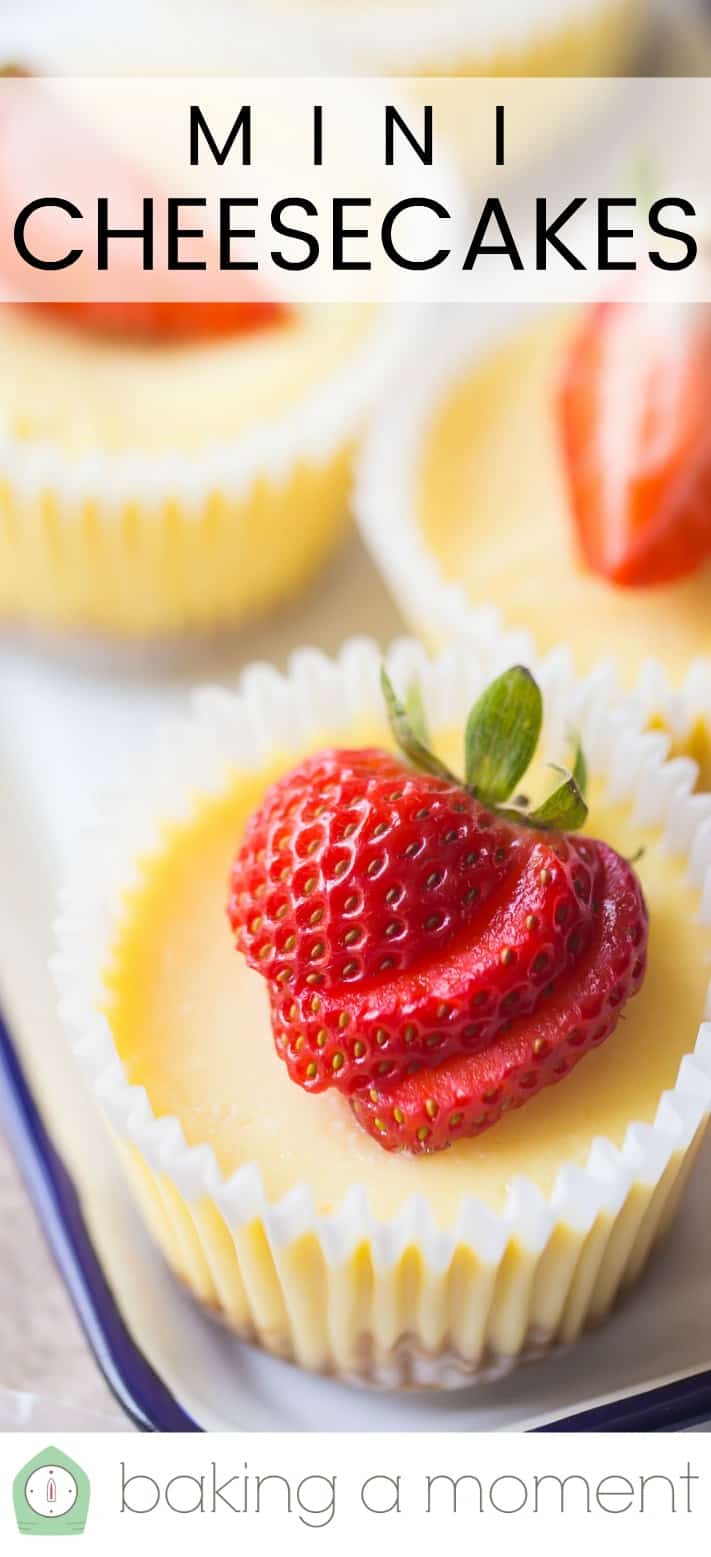 Close up image of a mini New York cheesecake with graham cracker crust, topped with a sliced strawberry.