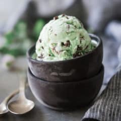 Homemade mint chocolate chip ice cream in a dark brown bowl, on a gray background.