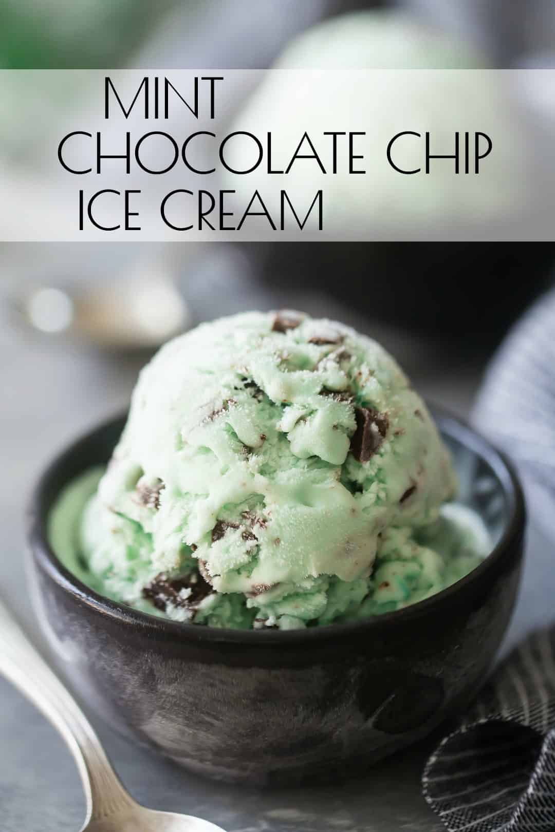 Two bowls of mint chocolate chip ice cream, with a text overlay above that reads "Mint Chocolate Chip Ice Cream."
