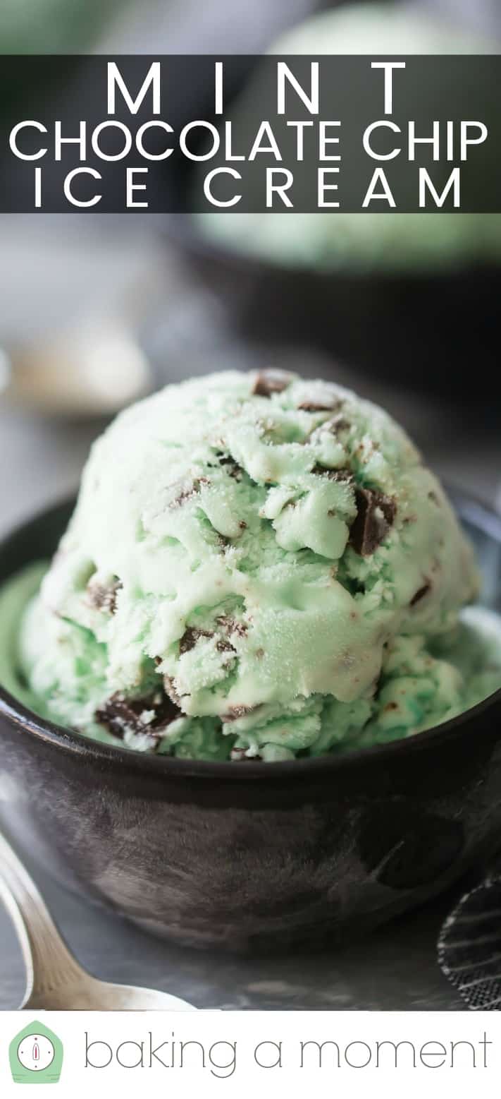 Close up image of a scoop of homemade mint chocolate chip ice cream, with a text overlay above reading "Mint Chocolate Chip Ice Cream."