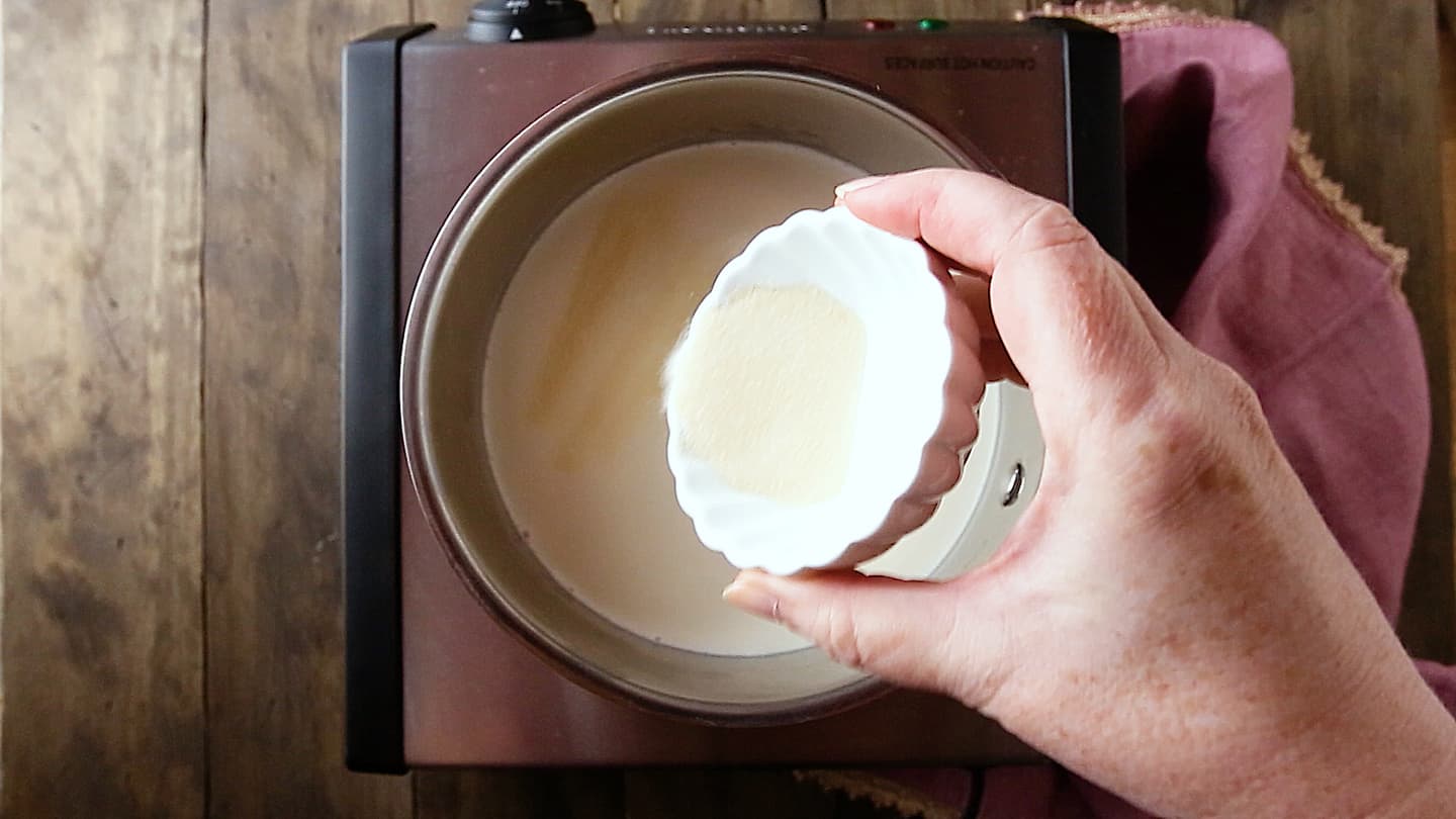 Making panna cotta: Sprinkling gelatin over milk and cream.