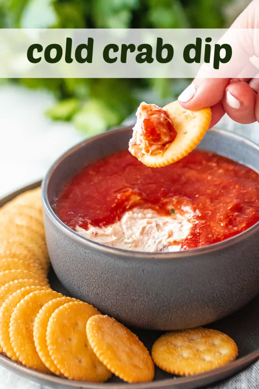 Dipping a cracker into a bowl of cold crab dip, with a text overlay above that reads "Cold Crab Dip."