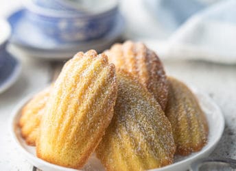 Madeleine cookies dusted with powdered sugar and arranged on a white ceramic plate.
