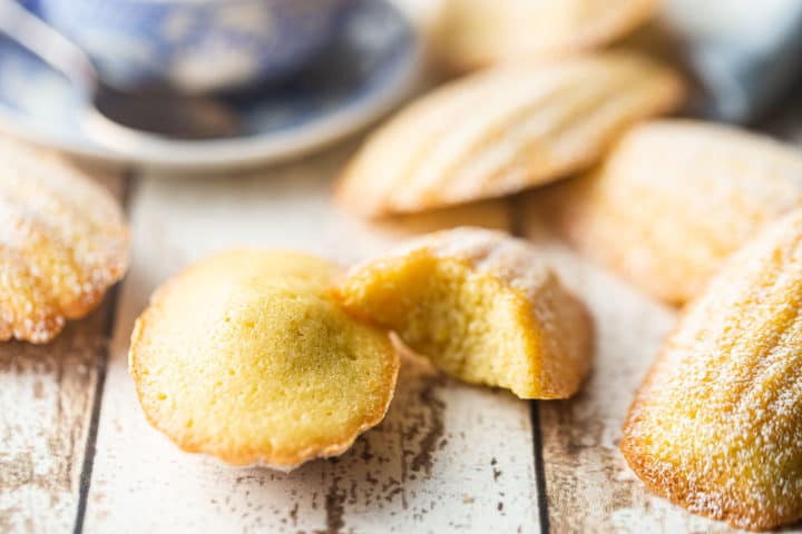 Best madeleine recipe ever, baked and displayed on a distressed white background.