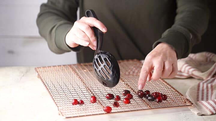 Transferring cranberries to a wire rack.