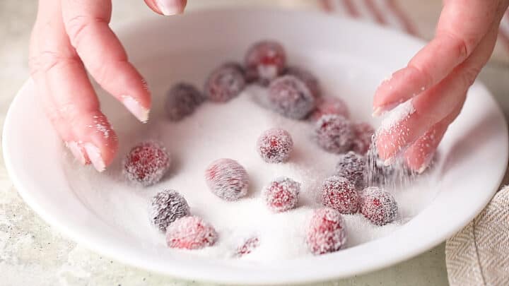 Coating cranberries in granulated sugar.