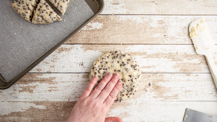 Pressing chocolate chip scone dough into a disc shape.