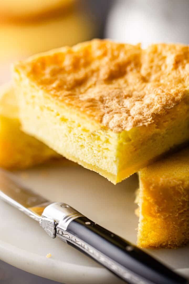 Extreme close up of Genoise cake recipe, baked and cut to show the spongy texture.