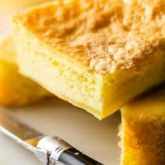 Extreme close up of Genoise cake recipe, baked and cut to show the spongy texture.