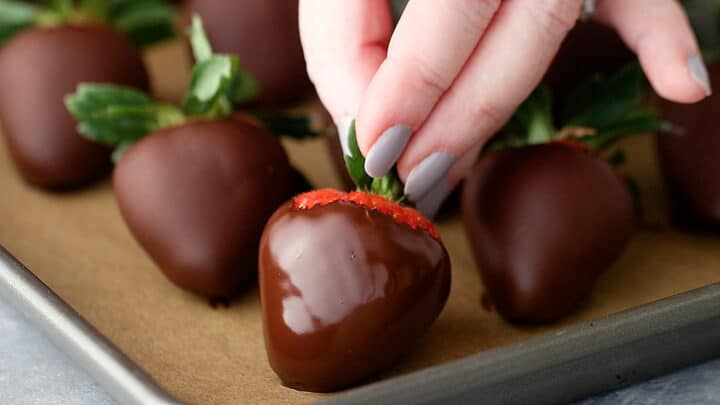 Placing a freshly dipped chocolate-covered strawberry on a parchment-lined baking sheet.