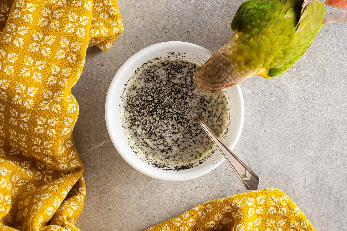 Earl grey butter with a pet bird peeking into the bowl.