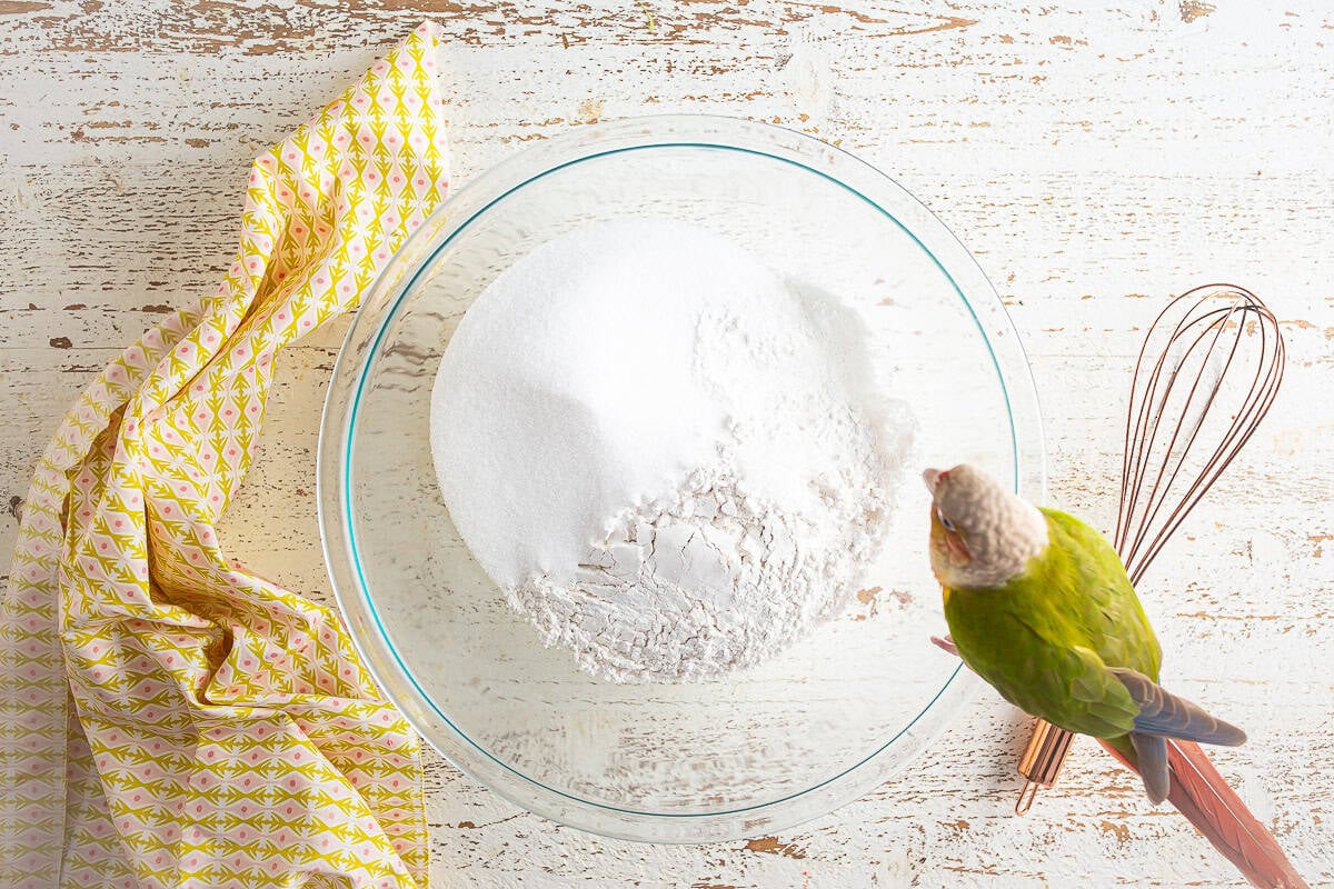 Dry ingredients in a glass bowl for strawberry matcha loaf with a bird perched on the edge watching.