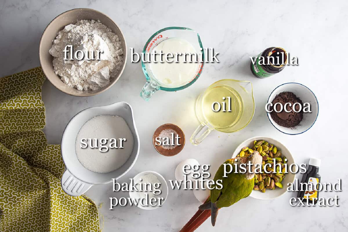 Ingredients for a chocolate pistachio loaf in separate containers on a white background.