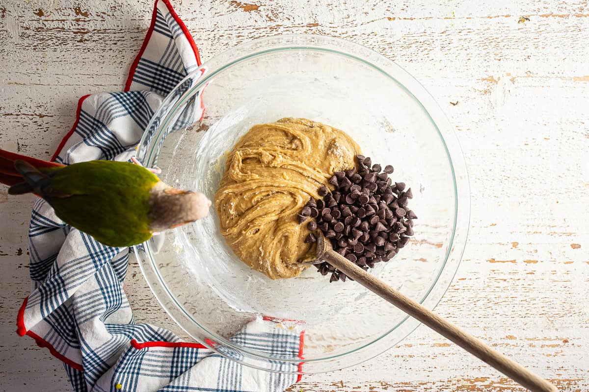 Chocolate chips added to cookie dough before being mixed in.