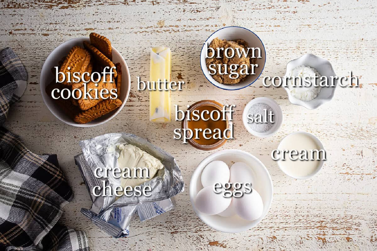 Ingredients for Biscoff cheesecake in separate containers.