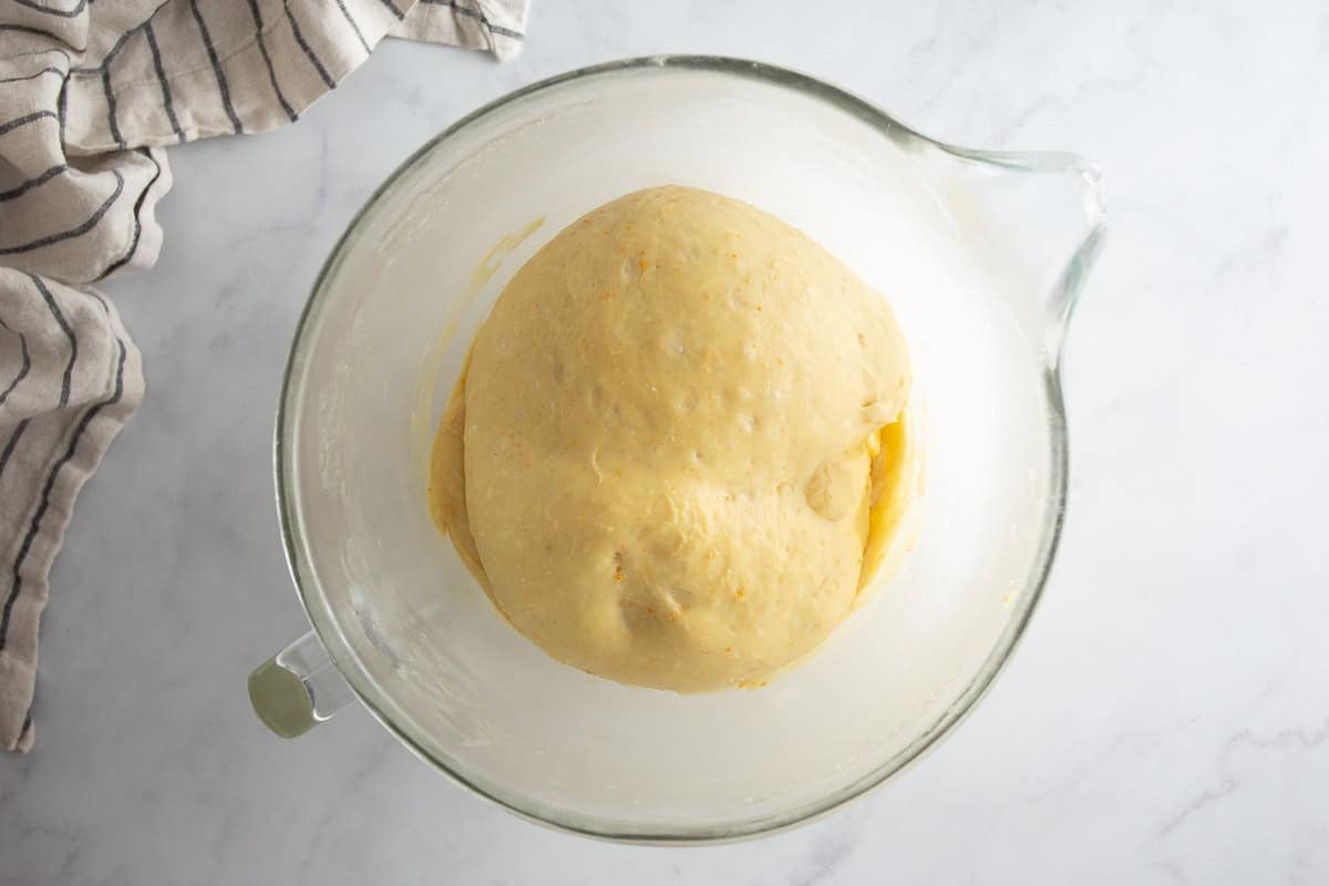 Maritozzi dough after it has risen.