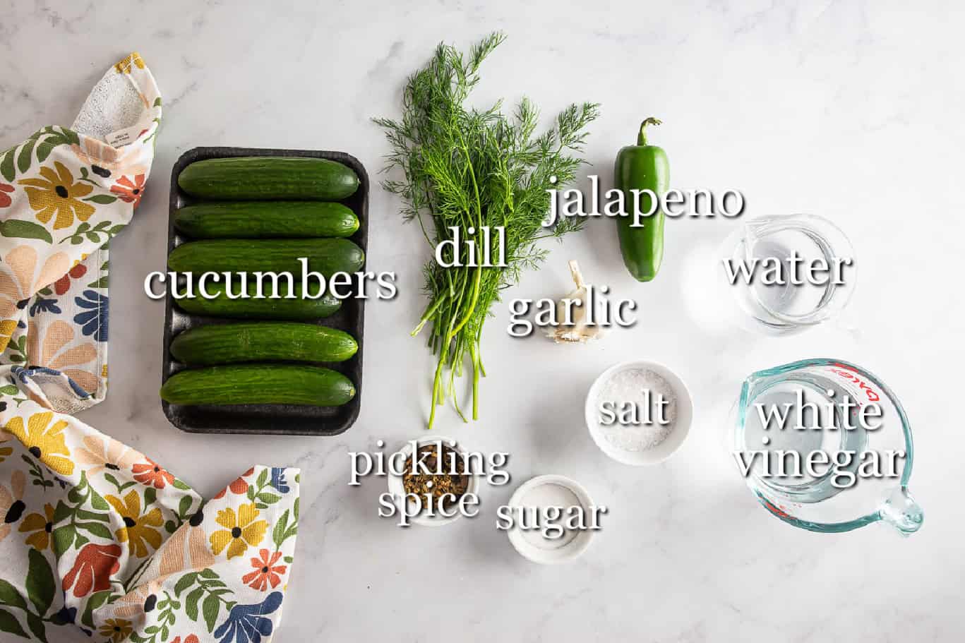 Ingredients for dill pickles in separate containers on a white background.