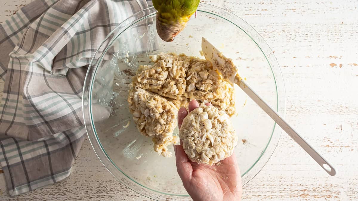 shaping crab cakes into discs