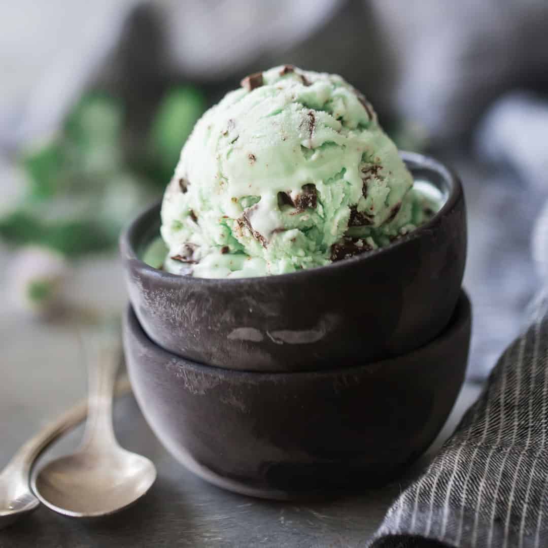 Mint Chocolate Chip Ice Cream
