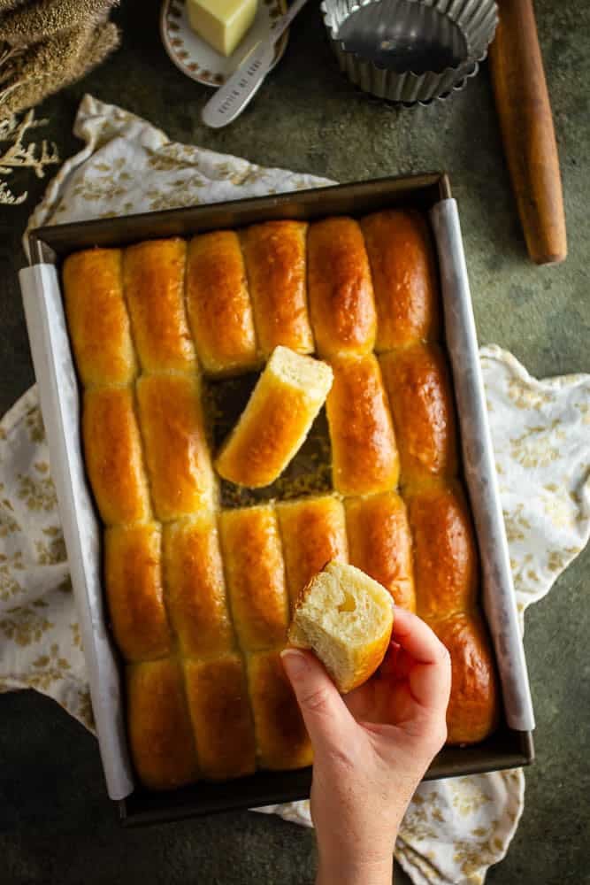 Freshly baked Parker House rolls in a baking tray with one roll held in hand.